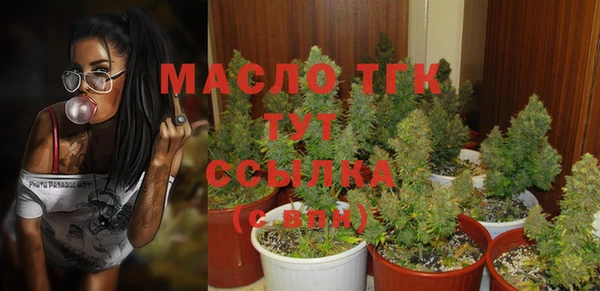таблы Горняк