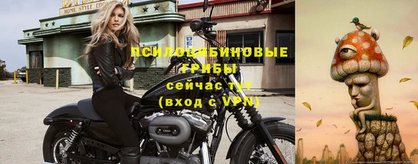трава Горно-Алтайск