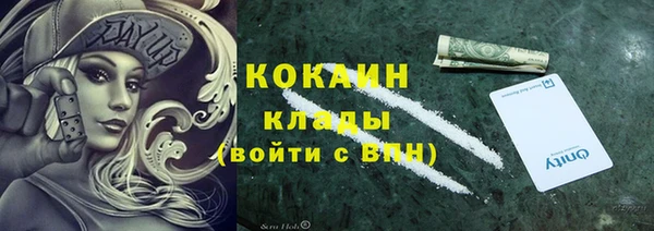 ПСИЛОЦИБИНОВЫЕ ГРИБЫ Горнозаводск