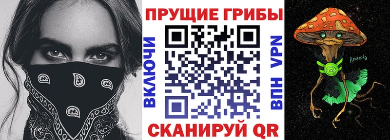 Галлюциногенные грибы MAGIC MUSHROOMS  Нязепетровск 